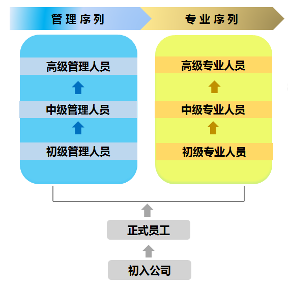 it技術人員_it人員的職業(yè)規(guī)劃_it人員