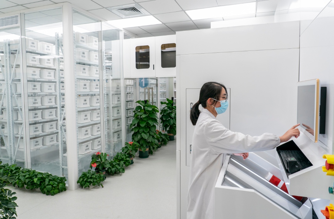 武漢超級“神算子”有多快？