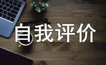 it工程師自我評價(jià)15篇